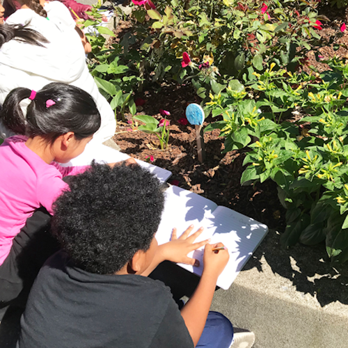 Students examine a garden.